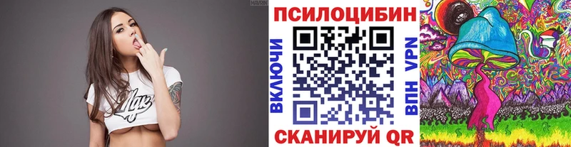 Псилоцибиновые грибы Psilocybe  Купить  Электроугли 